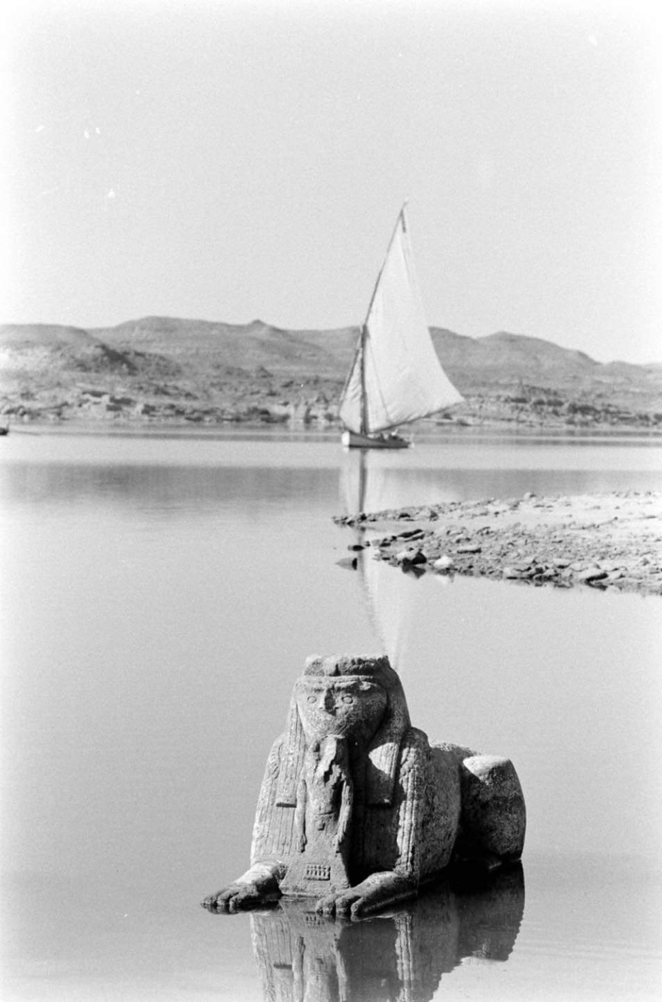 Erki Guest House Abu Simbel Eksteriør bilde