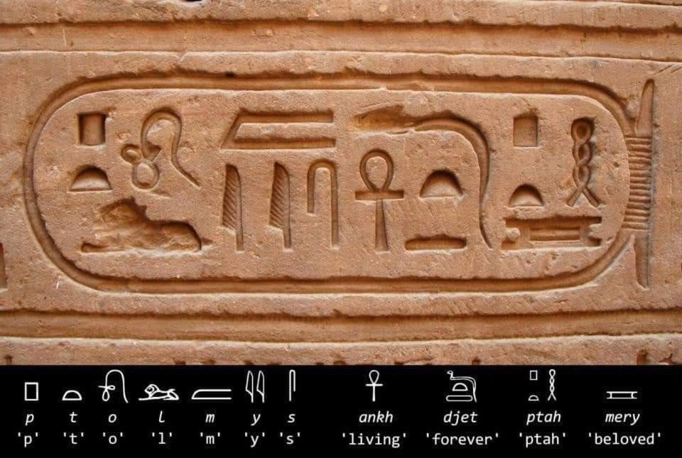 Erki Guest House Abu Simbel Eksteriør bilde